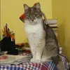 Отзыв от Ираида Семенова